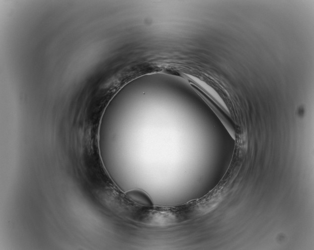 X0000099510572200805221424