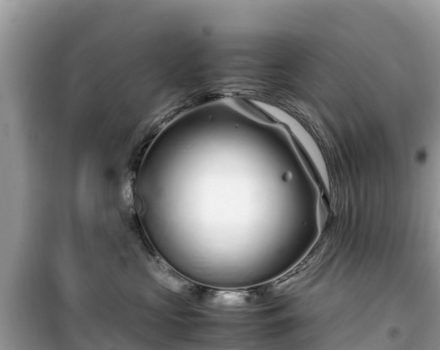 X0000099510573200805221425