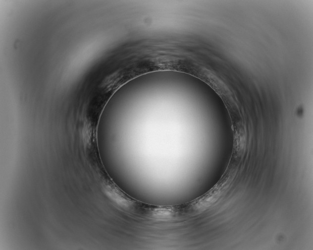 X0000099510574200805221425