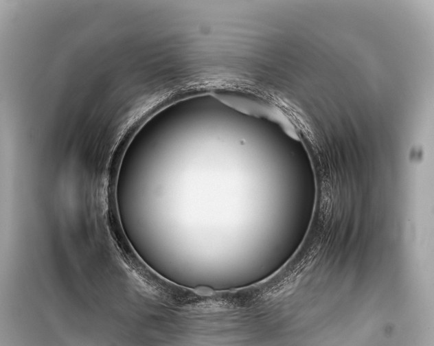 X0000099510578200805221424