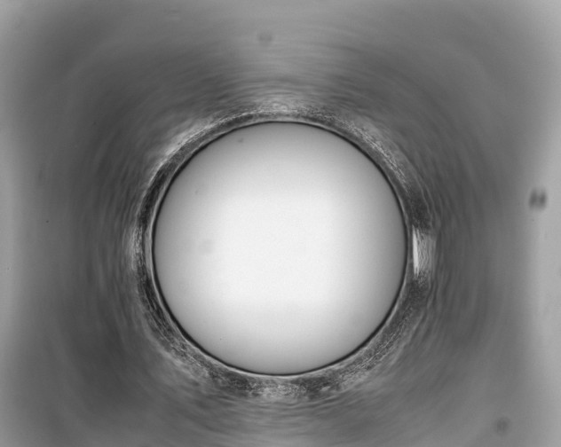 X0000099510579200805221424