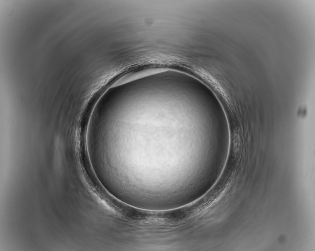 X0000099510581200805221424