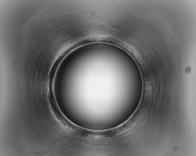 X0000099510582200805221424