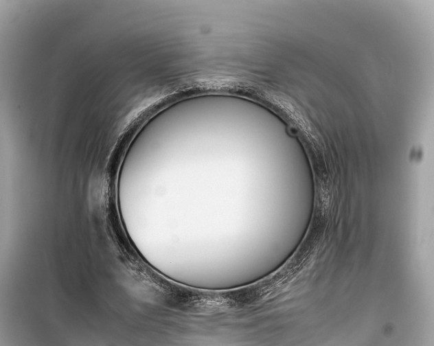 X0000099510583200805221424