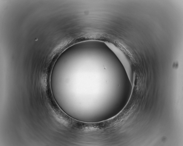 X0000099510586200805221424