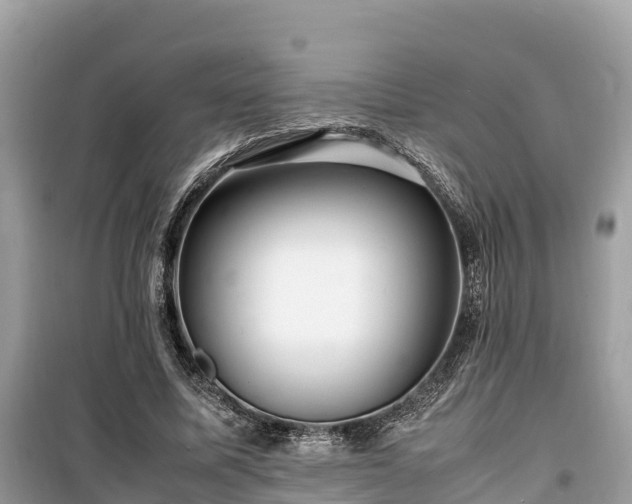 X0000099510587200805221424