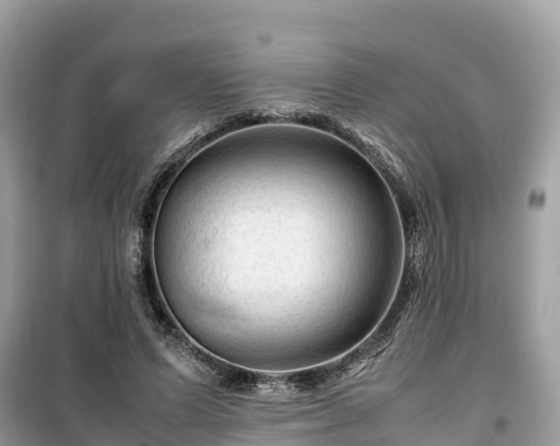 X0000099510591200805221424