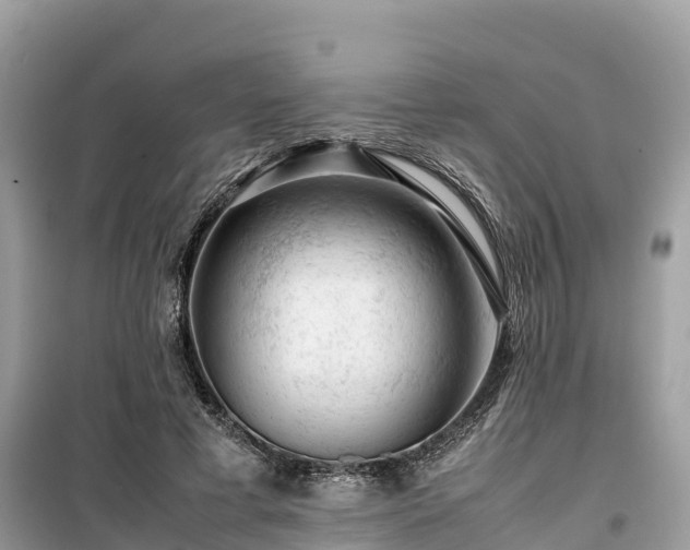 X0000099510593200805221424