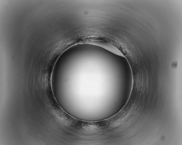 X0000099510594200805221424
