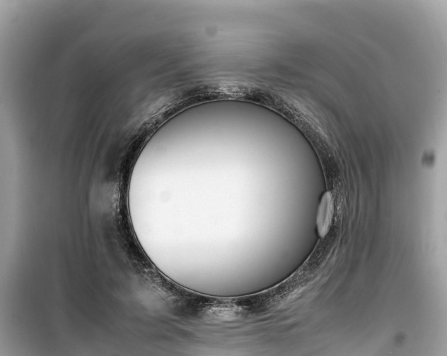 X0000099510595200805221424