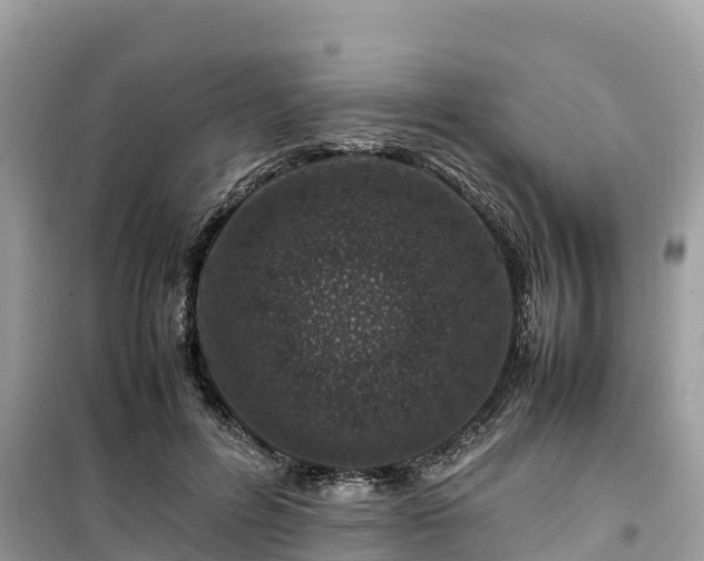 X0000099510600200805221423
