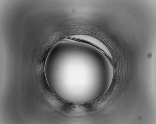 X0000099510601200805221423