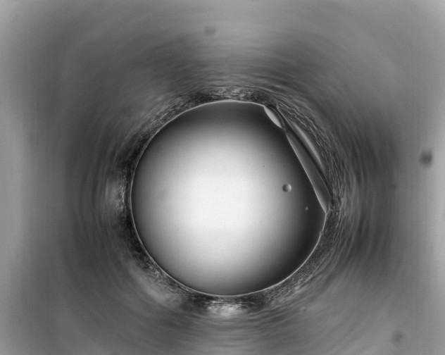 X0000099510602200805221423