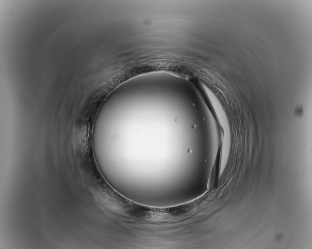 X0000099510605200805221423