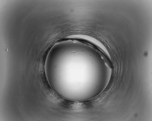 X0000099510609200805221423