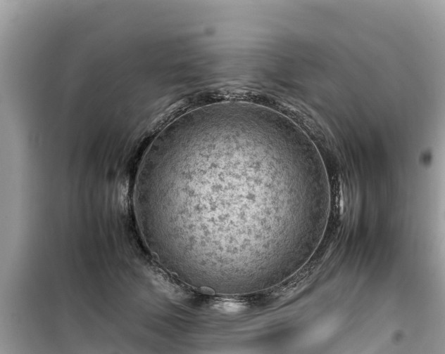 X0000099510610200805221423