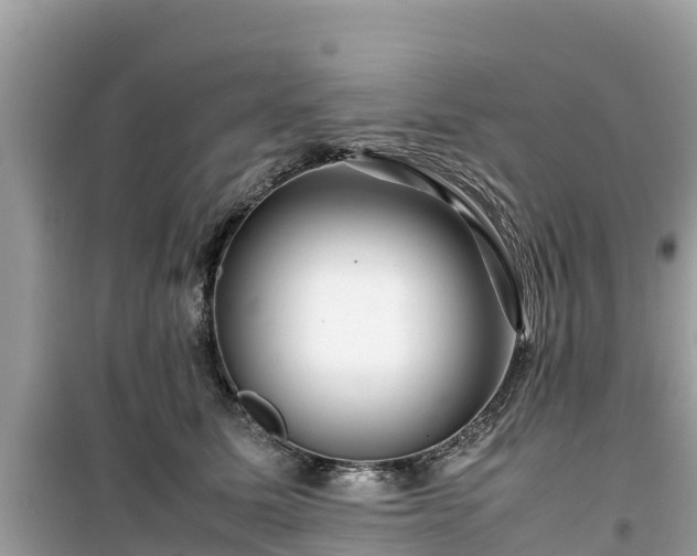 X0000099510611200805221423