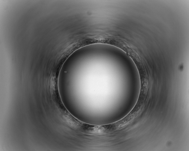 X0000099510612200805221423