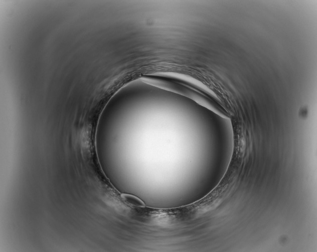 X0000099510616200805221423