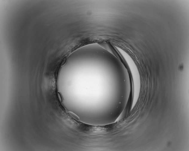 X0000099510617200805221423