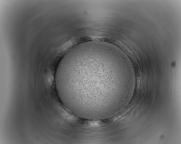 X0000099510618200805221423