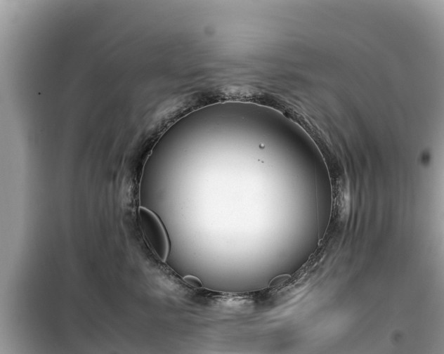 X0000099510619200805221423