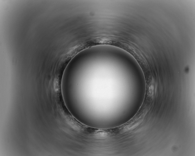 X0000099510620200805221423
