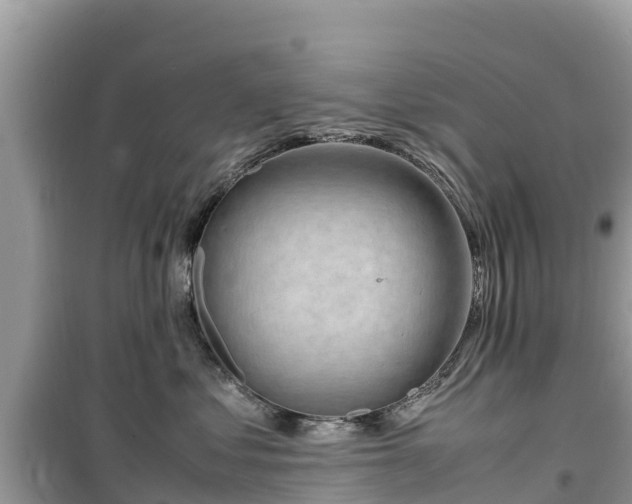 X0000099510621200805221423