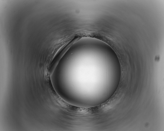 X0000099510624200805221423