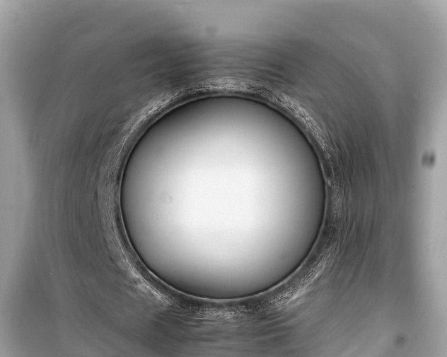 X0000099510625200805221423