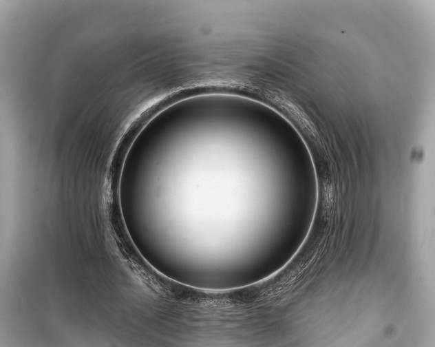 X0000099510628200805221423