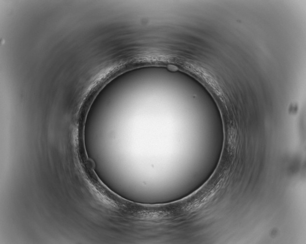 X0000099510629200805221423