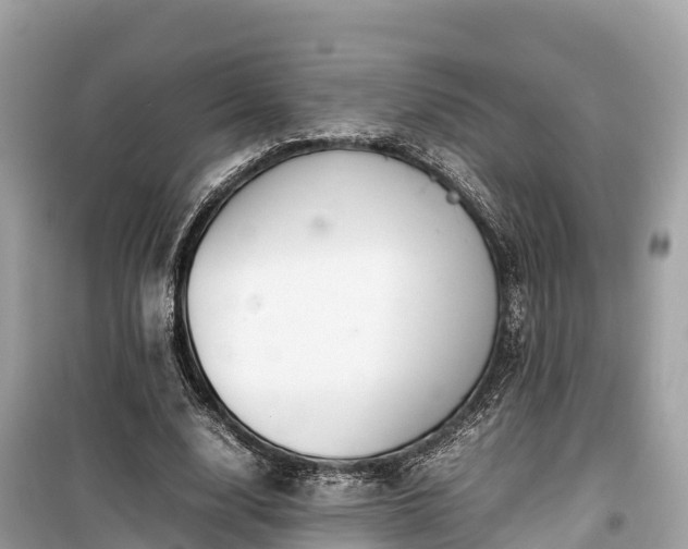X0000099510632200805221423