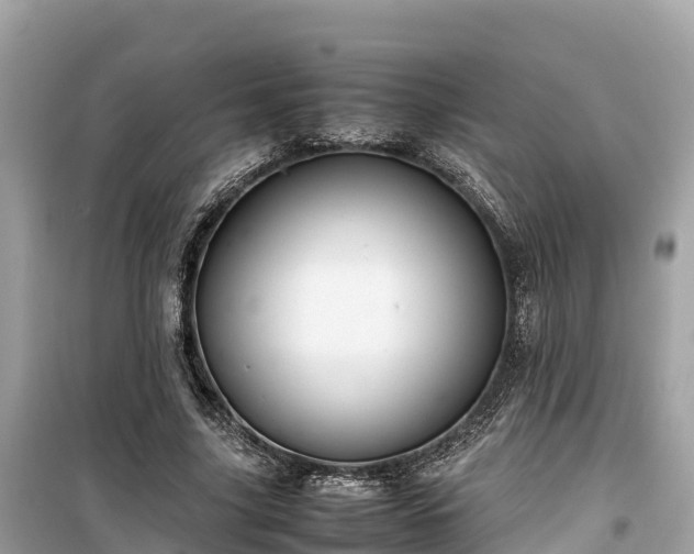 X0000099510635200805221423