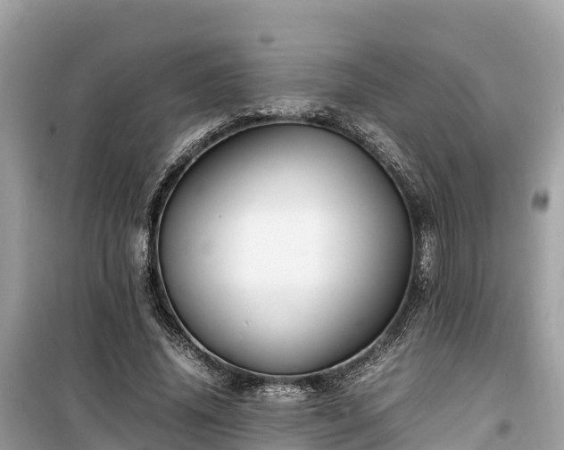 X0000099510636200805221423