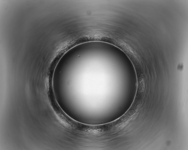 X0000099510638200805221423