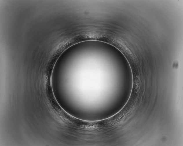 X0000099510639200805221423