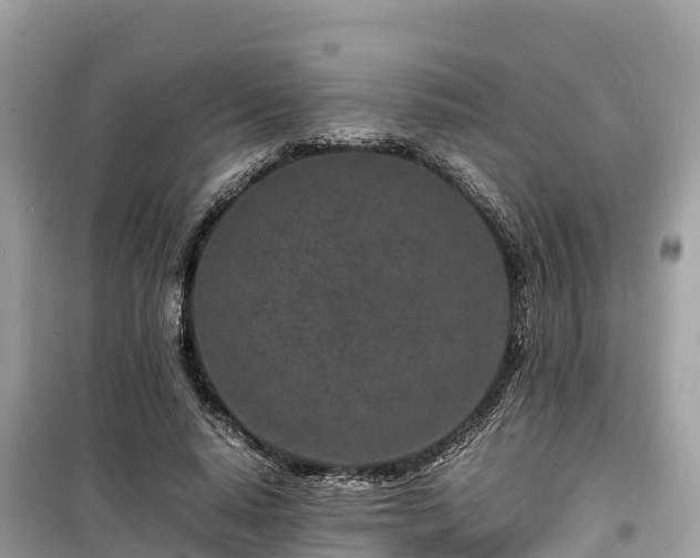 X0000099510640200805221423