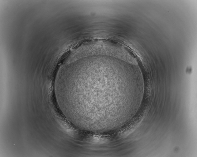 X0000099510641200805221423