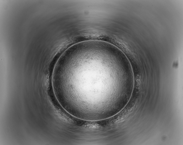 X0000099510642200805221423