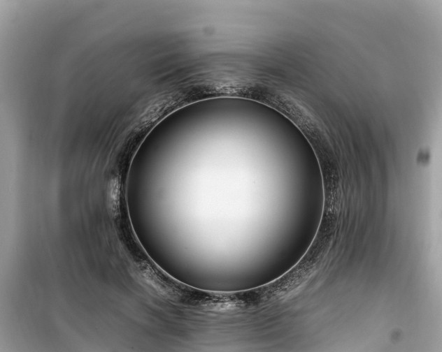 X0000099510646200805221423