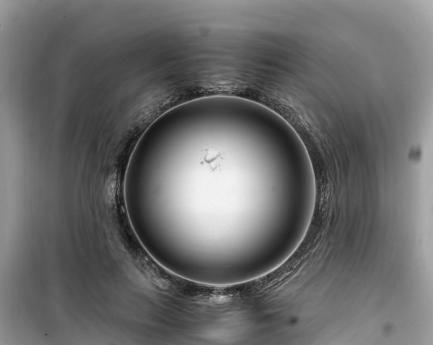 X0000099510647200805221423