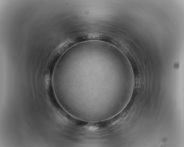 X0000099510648200805221423