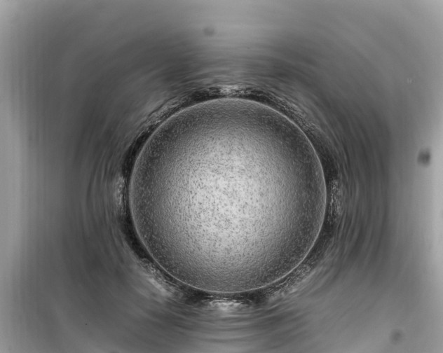 X0000099510650200805221423