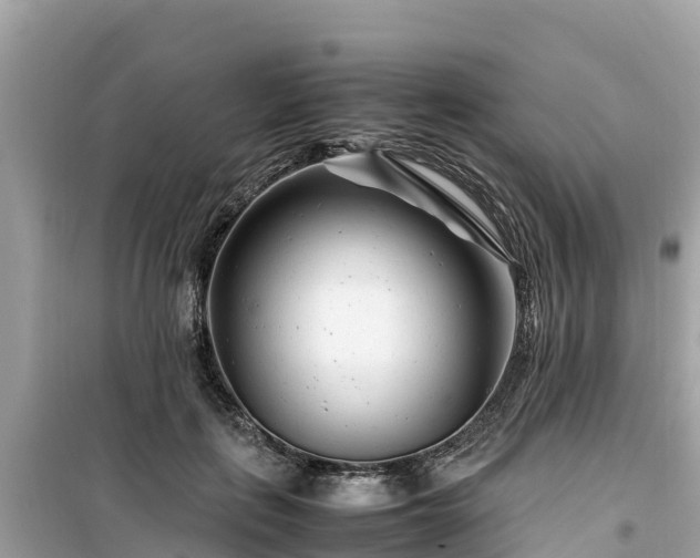 X0000099510651200805221423