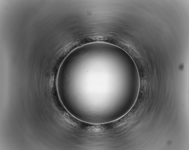 X0000099510652200805221423