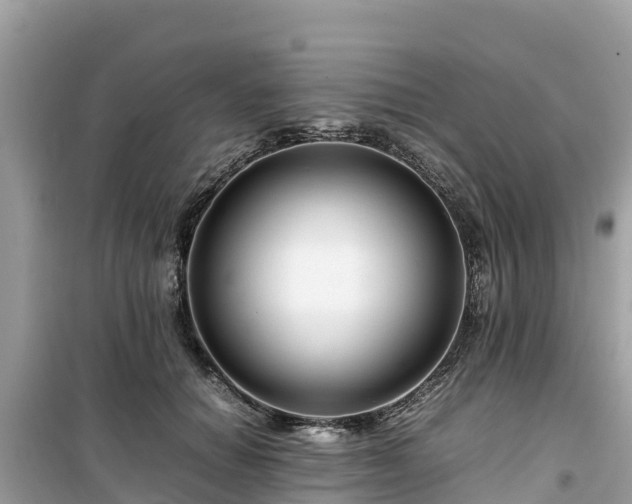 X0000099510654200805221423