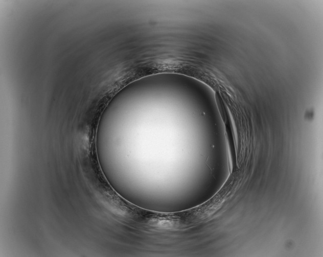 X0000099510655200805221423