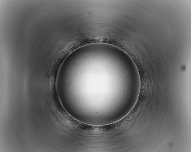 X0000099510656200805221423
