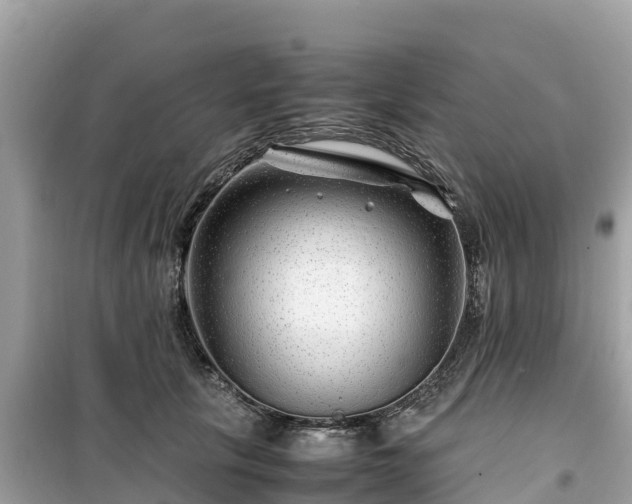 X0000099510657200805221423